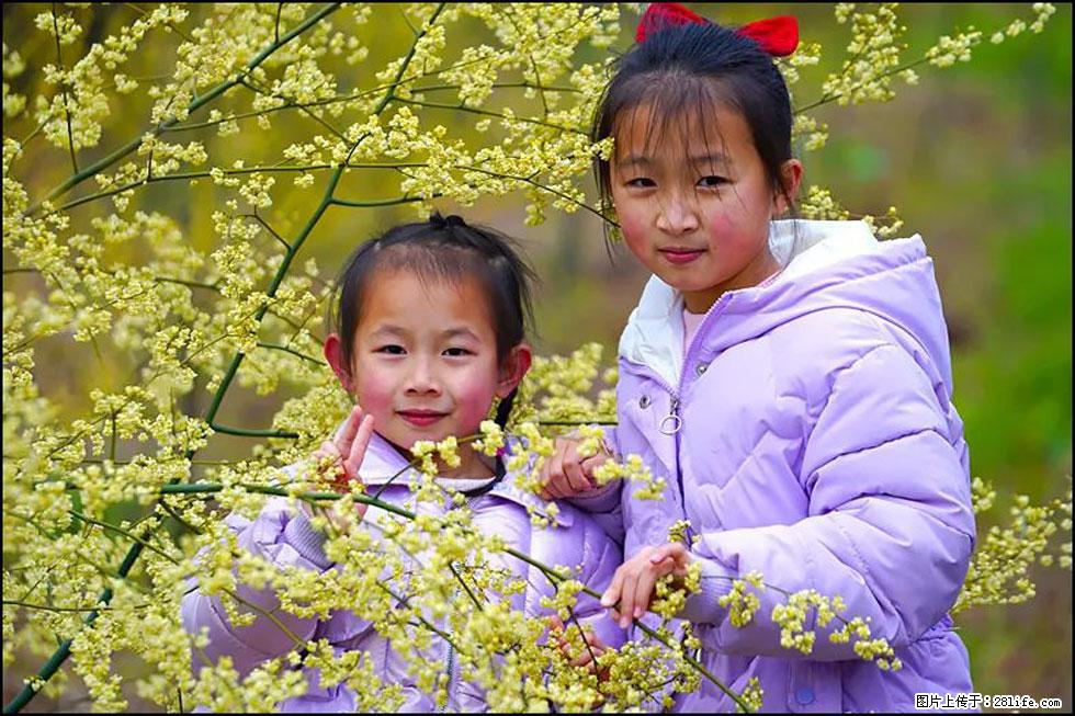 【春天，广西桂林灌阳县向您发出邀请！】米珠山前有片山苍子花在飘香 - 游山玩水 - 淮南生活社区 - 淮南28生活网 hn.28life.com