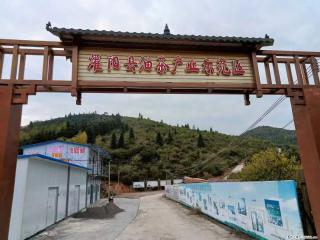 【灌阳县油茶产业示范区】一个有着充实的精神生活的人,对待身外之物自会有一种淡泊的态度 - 淮南28生活网 hn.28life.com