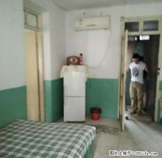 谢二中村5层简装生活设施1室1厅300/月 - 淮南28生活网 hn.28life.com