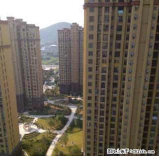 绿茵里 118平 简装 800月 - 淮南28生活网 hn.28life.com