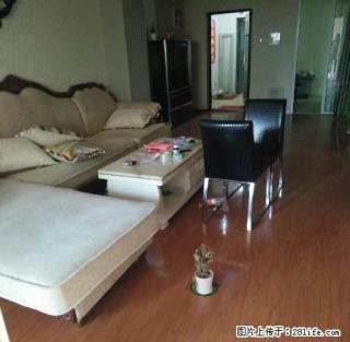 龙湖路一号大户型房子出租 - 淮南28生活网 hn.28life.com