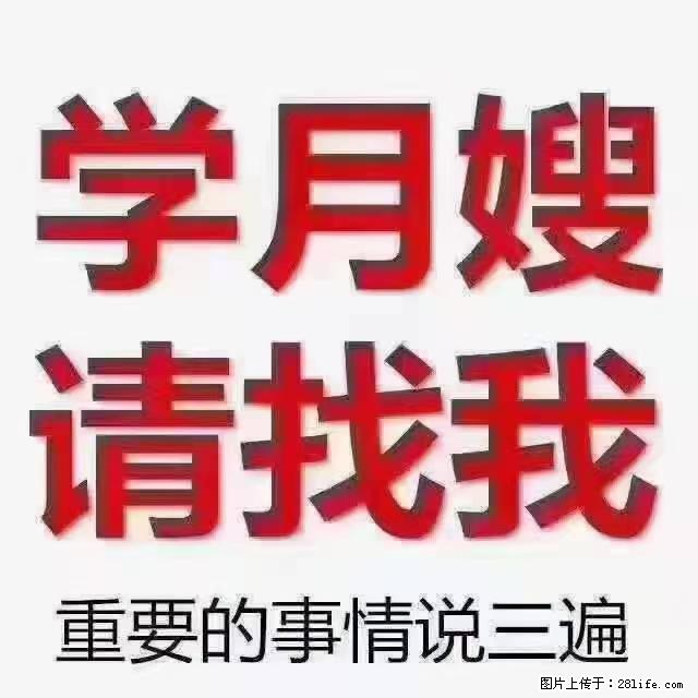 【招聘】月嫂,上海徐汇区 - 职场交流 - 淮南生活社区 - 淮南28生活网 hn.28life.com