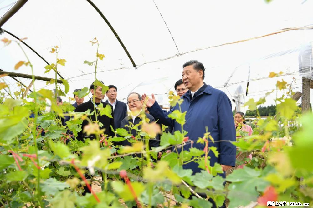 习近平赴广西考察调研 - 淮南生活资讯 - 淮南28生活网 hn.28life.com