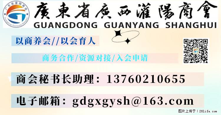 “粤灌文化 美好生活”油茶文化主题活动在广东深圳成功举办 - 淮南生活资讯 - 淮南28生活网 hn.28life.com