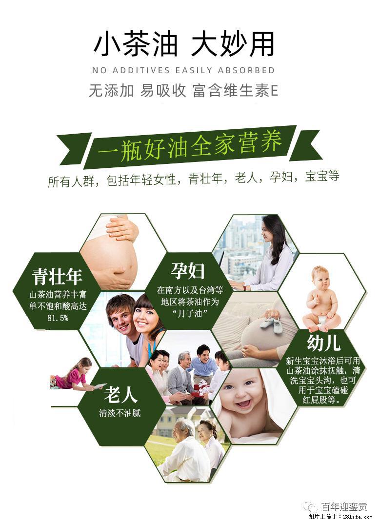 世界没有真相,只有认知,最好的食用油是中国的山茶油! - 淮南生活资讯 - 淮南28生活网 hn.28life.com