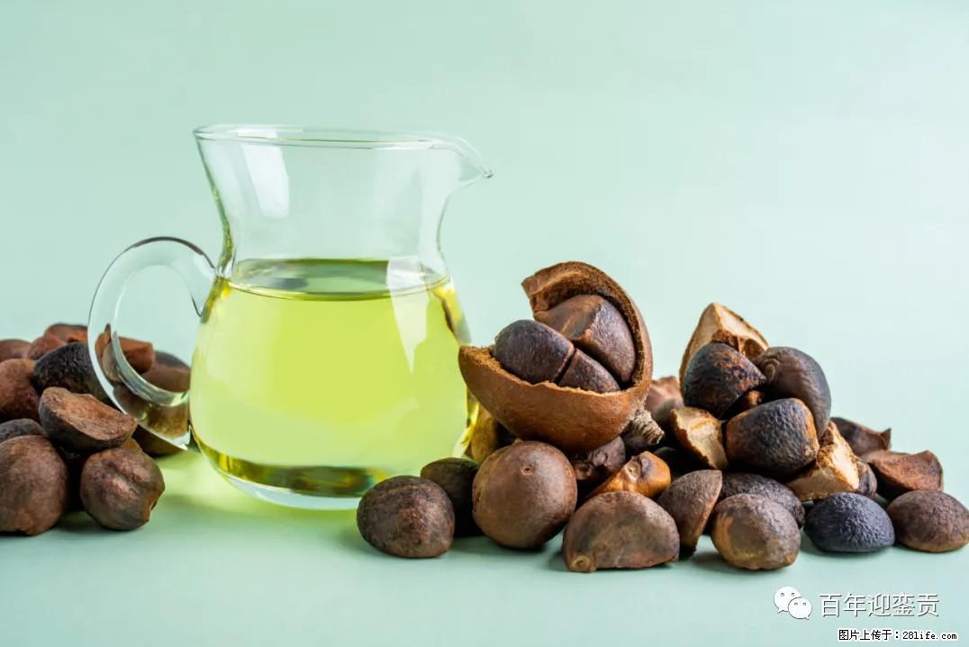世界没有真相，只有认知，最好的食用油是中国的山茶油！ - 淮南生活资讯 - 淮南28生活网 hn.28life.com