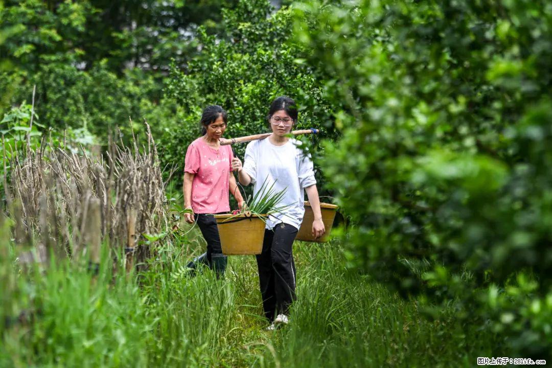 全网追的“扁担女孩”，找了一份暑假工，时薪12元 - 淮南生活资讯 - 淮南28生活网 hn.28life.com