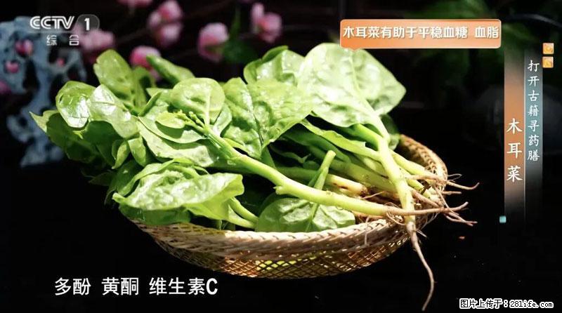 比牛奶补钙还厉害！凉血解毒、稳血糖...这菜冬天必吃，很多人却当草 - 淮南生活资讯 - 淮南28生活网 hn.28life.com