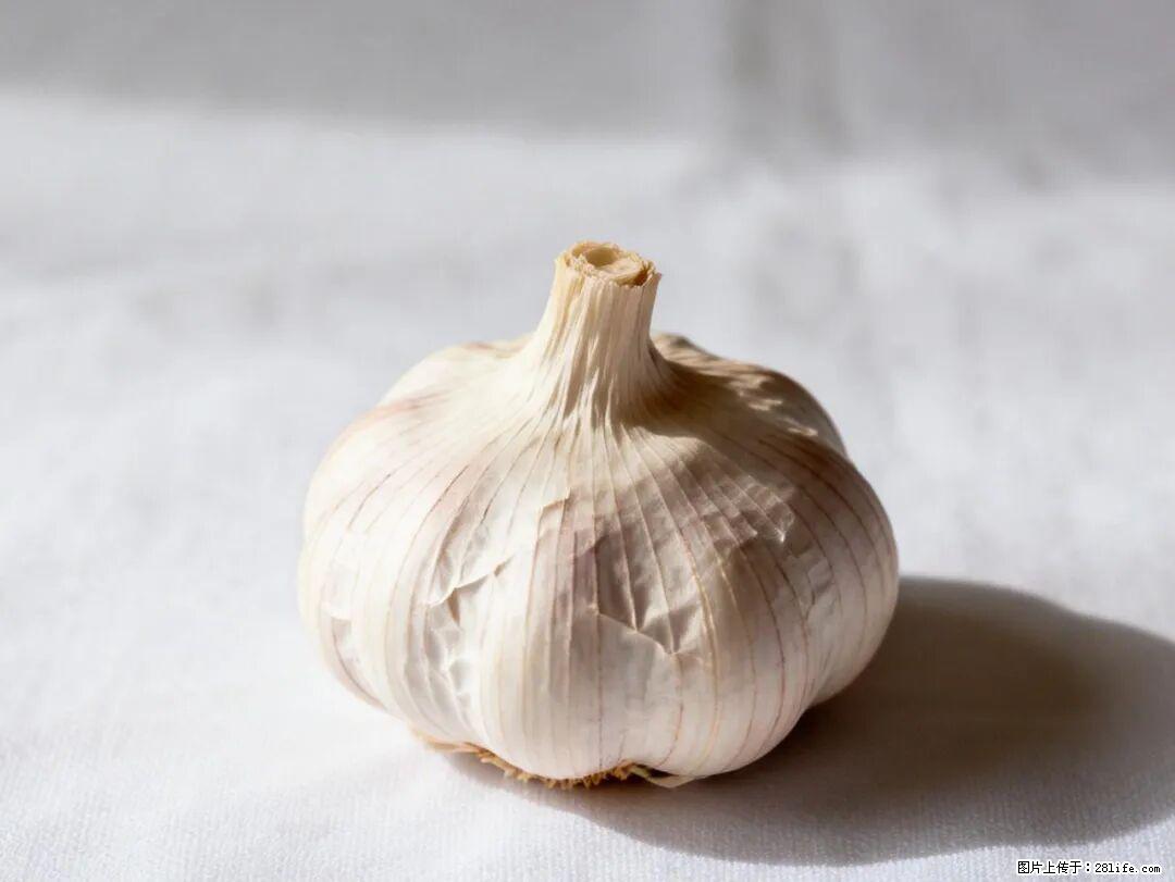关于大蒜，除了“天然抗生素”，这4个谣言更该警惕! - 淮南生活资讯 - 淮南28生活网 hn.28life.com