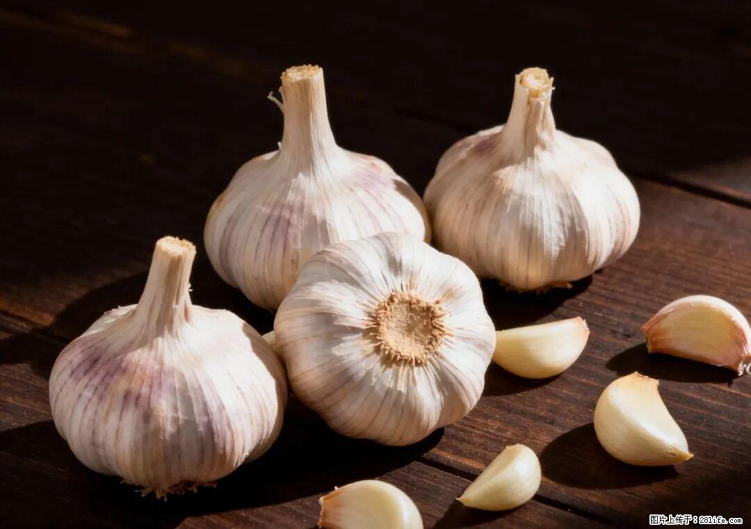 关于大蒜，除了“天然抗生素”，这4个谣言更该警惕! - 淮南生活资讯 - 淮南28生活网 hn.28life.com