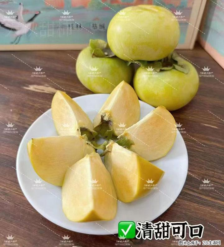 广西桂林平乐桥亭【红心猕猴桃】、【大秋甜柿】上市啦，欢迎各位新老客户下单（另有少量小果出售） - 淮南生活资讯 - 淮南28生活网 hn.28life.com